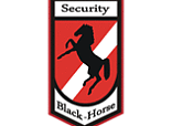 blackhorse